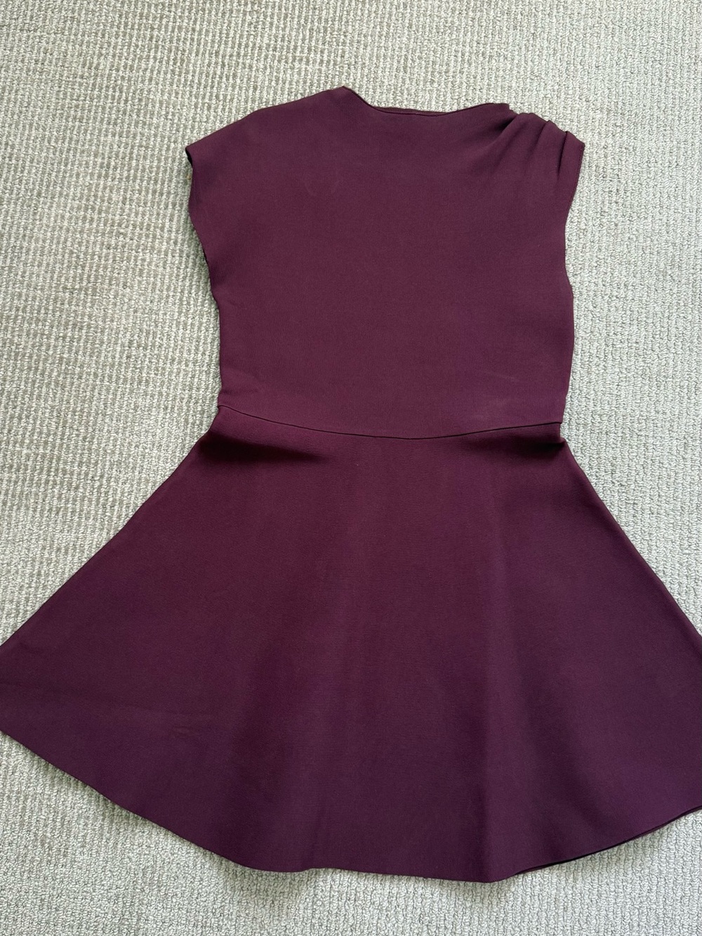 Zara Plum Cap-Sleeve Fit-and-Flare Mini Dress